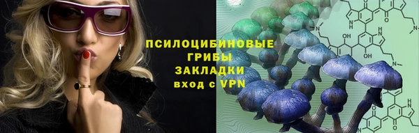 трава Осинники