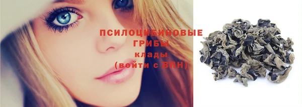 трава Осинники