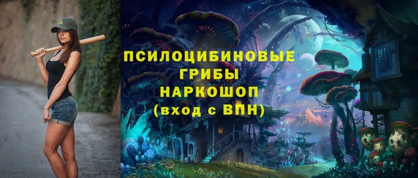 PSILOCYBIN Дмитровск