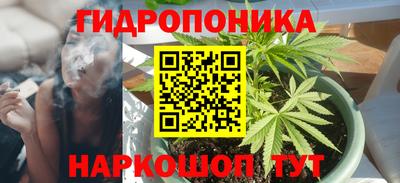 прущие грибы Апшеронск