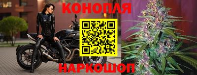 сатива Аргун