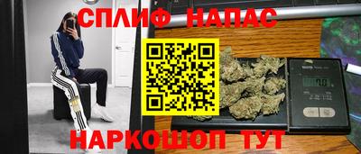 прущие грибы Апшеронск