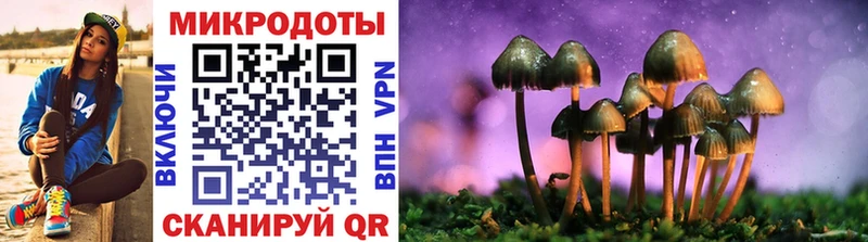 наркота  omg tor  Галлюциногенные грибы Cubensis  Богданович 