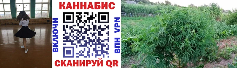 Канабис Bruce Banner  купить наркоту  Богданович 